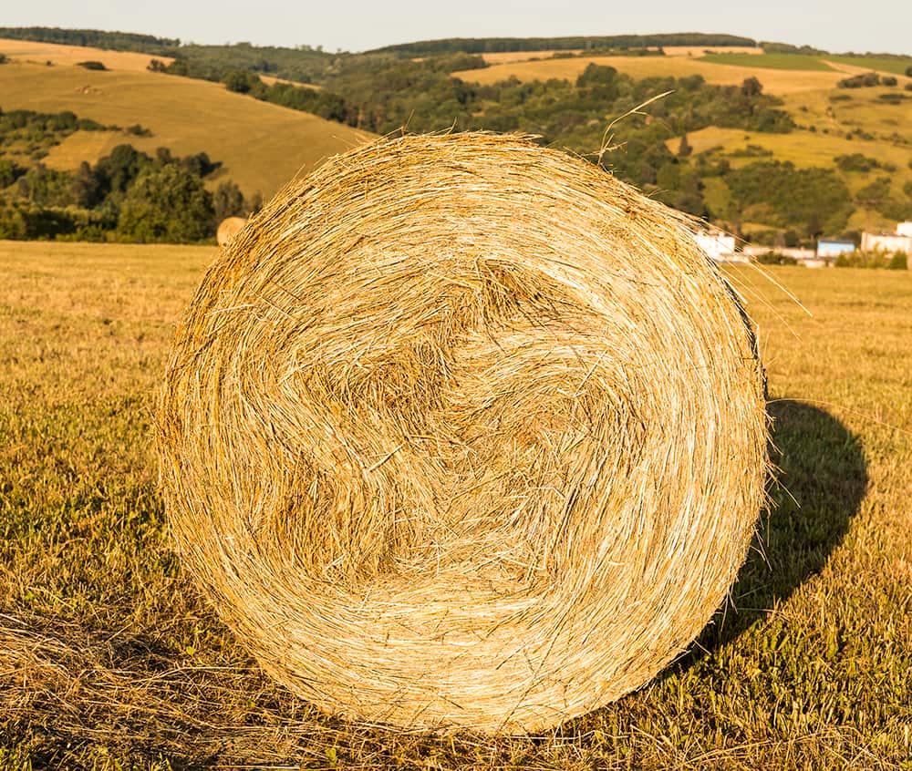 BIO - Weizenstroh – Bild 1