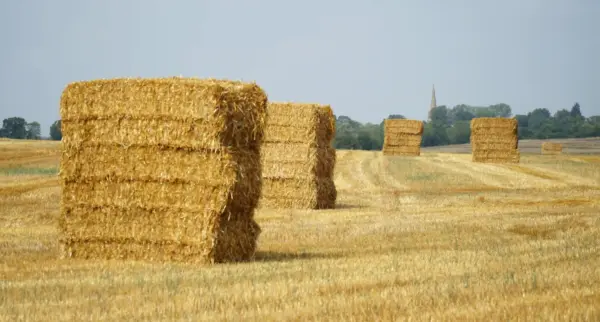 Hafer Großballen – 75 t